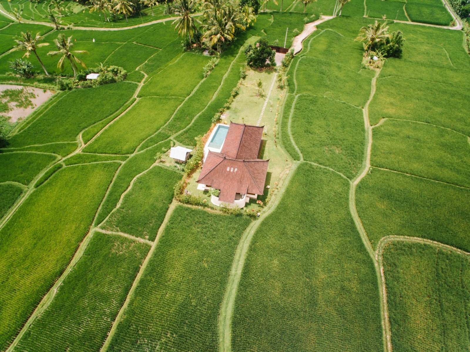 Top-down aerial view of lush green farmland with a house in a rural setting.